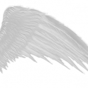 Fichier PNG des ailes blanches