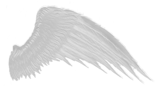 White Wings PNG File
