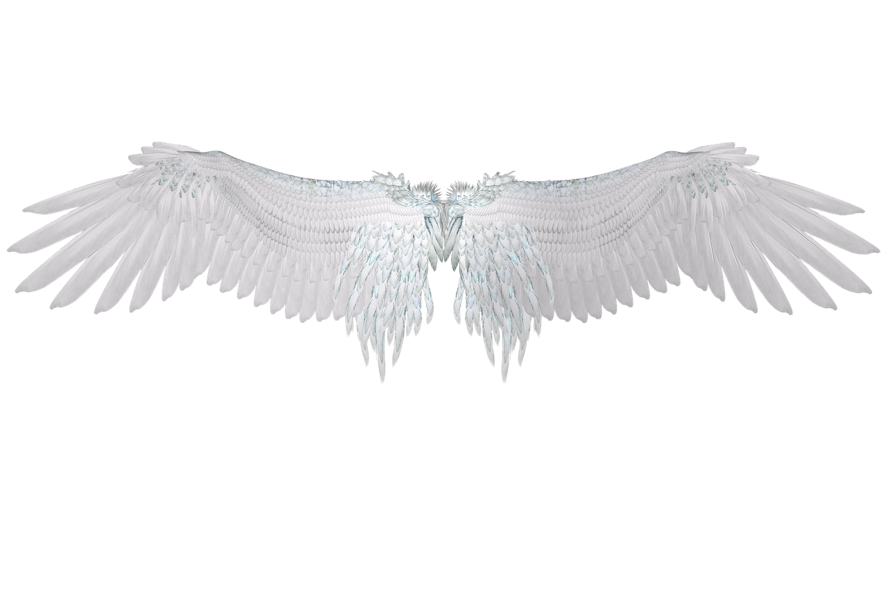 White Wings PNG Free Download
