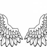 Белые крылья Png HD изображение