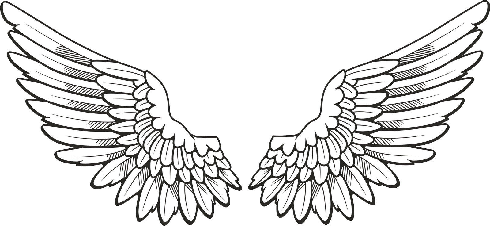 White Wings PNG HD Image