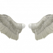 Белые крылья PNG изображение