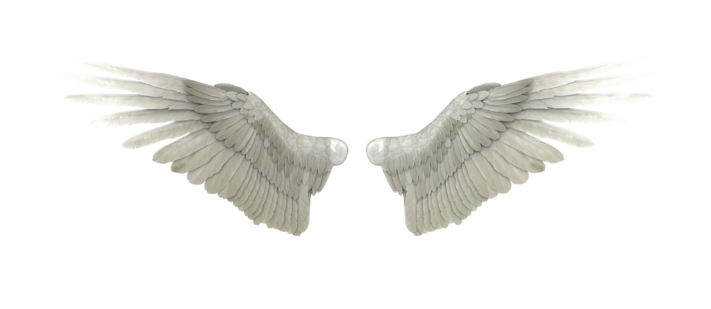 White Wings PNG Image
