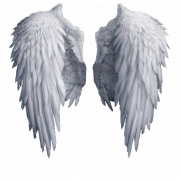 Weiße Flügel PNG Bild