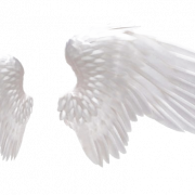 Weiße Flügel transparent