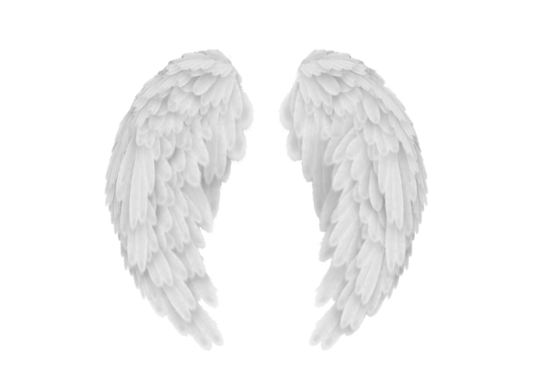 Wings PNG Transparent Images PNG All