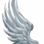 Wings anghel