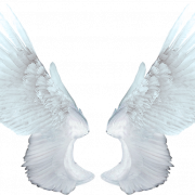 Wings Angel Png