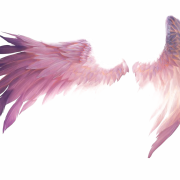 Крылья ангел png clipart