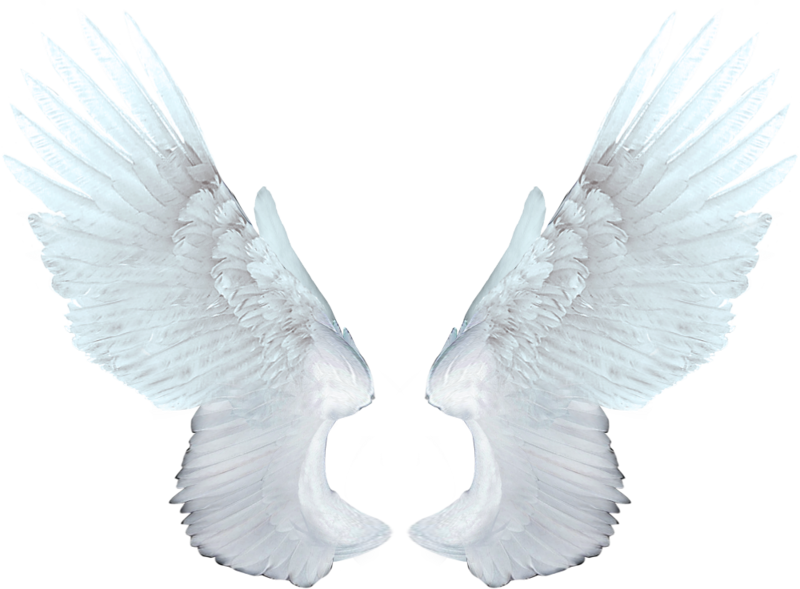 Wings Angel PNG
