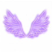 Wings Neon PNG Bild