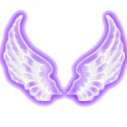 Wings Neon Transparent