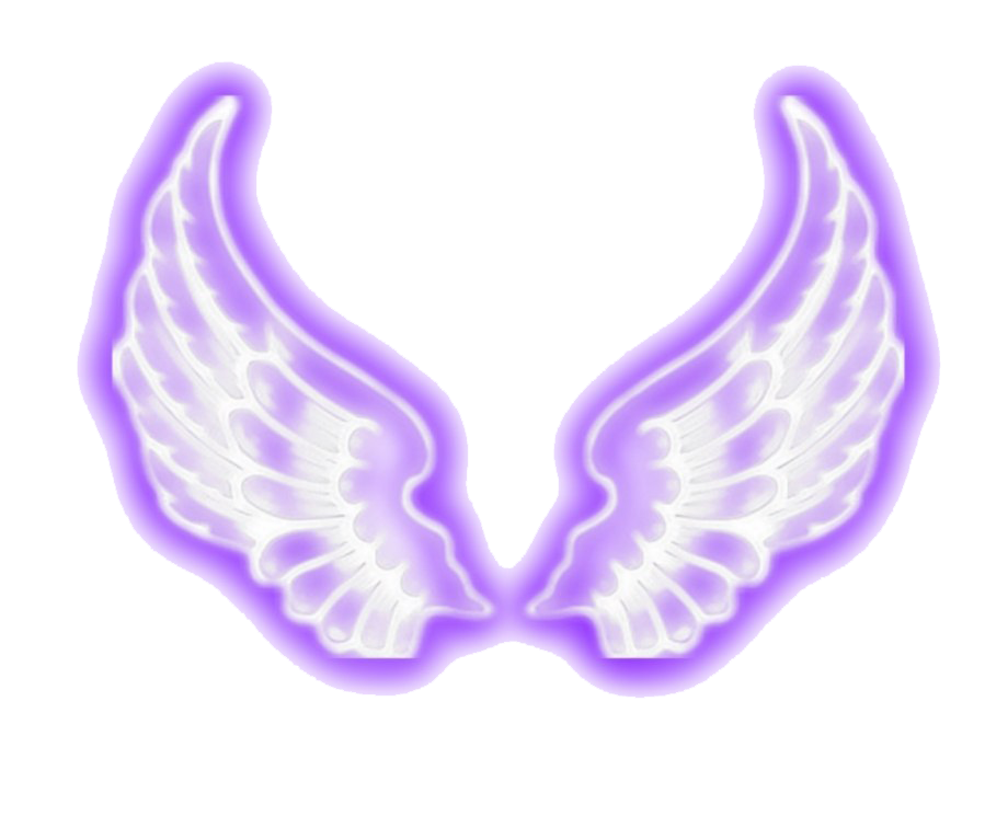 Wings Neon Transparent