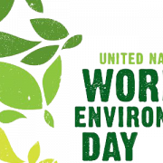Imágenes PNG del Día Mundial del Medio Ambiente