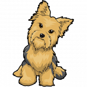 Yorkshire Terrier PNG I -download ang imahe