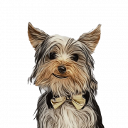 Yorkshire Terrier PNG File immagine