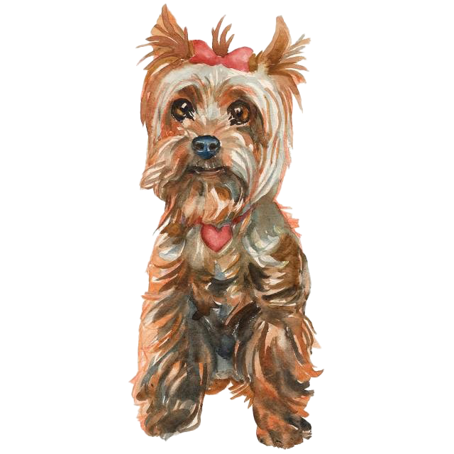 Yorkshire Terrier PNG Images