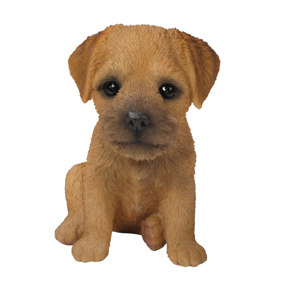 Yorkshire Terrier PNG Picture