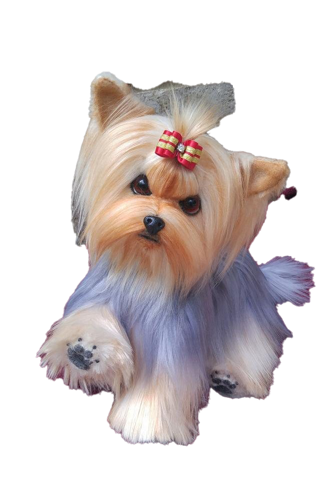 Yorkshire Terrier Puppy PNG Clipart