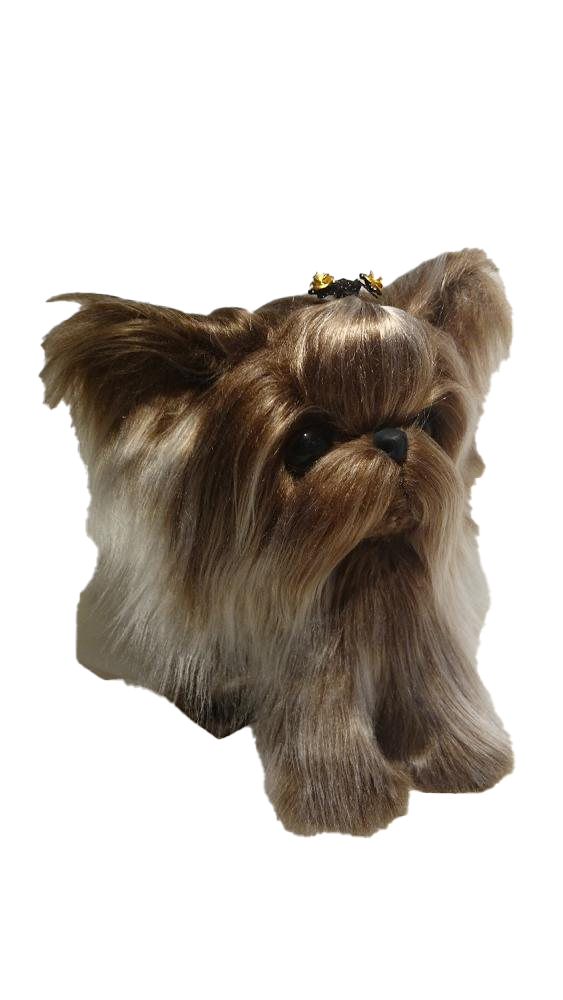 Yorkshire Terrier Puppy PNG Picture