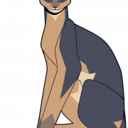 Abyssinian Cat PNG Download Image