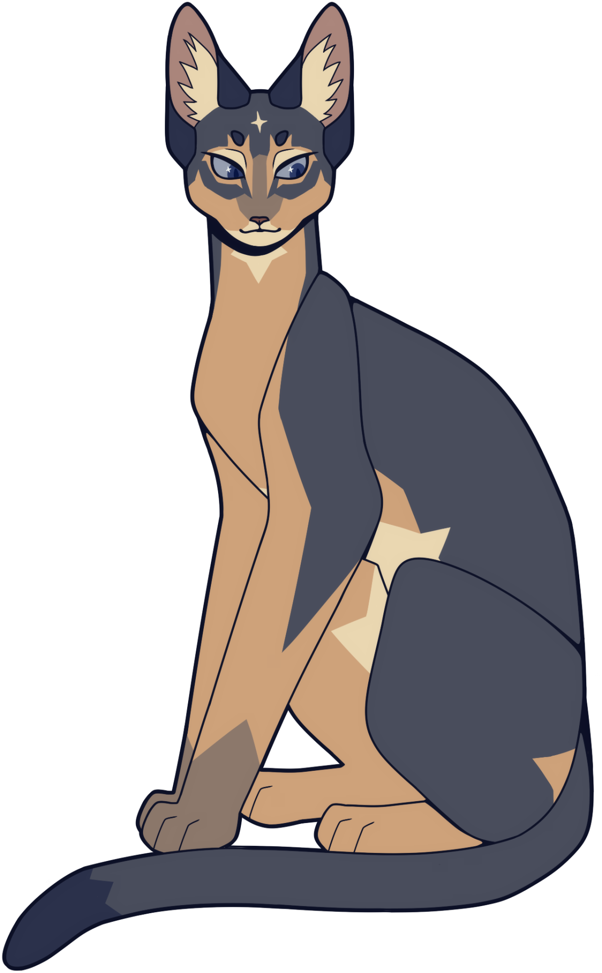 Abyssinian Cat PNG Download Image