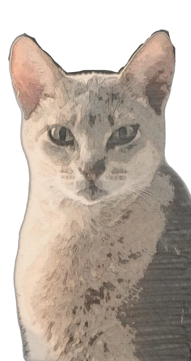 Abyssinian Cat PNG Image