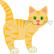 Абиссинский кот PNG Pic
