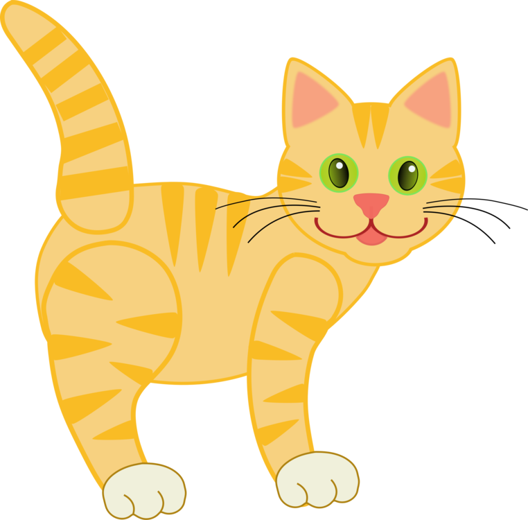 Abyssinian Cat PNG Pic