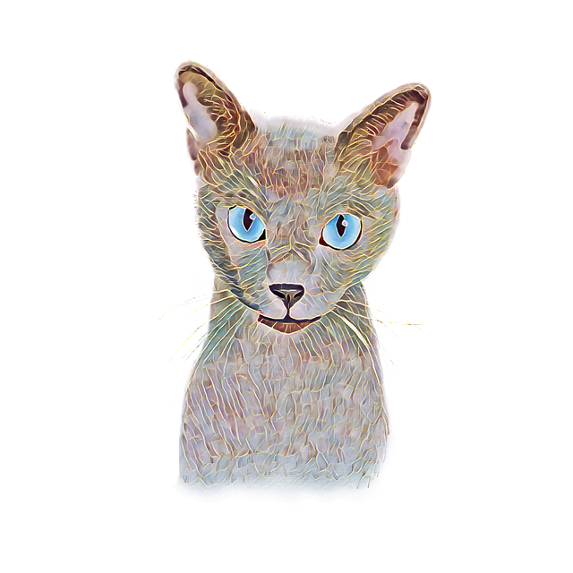 Abyssinian Cat PNG Picture