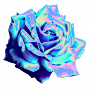 Estetik Çiçek PNG Ücretsiz Görüntü