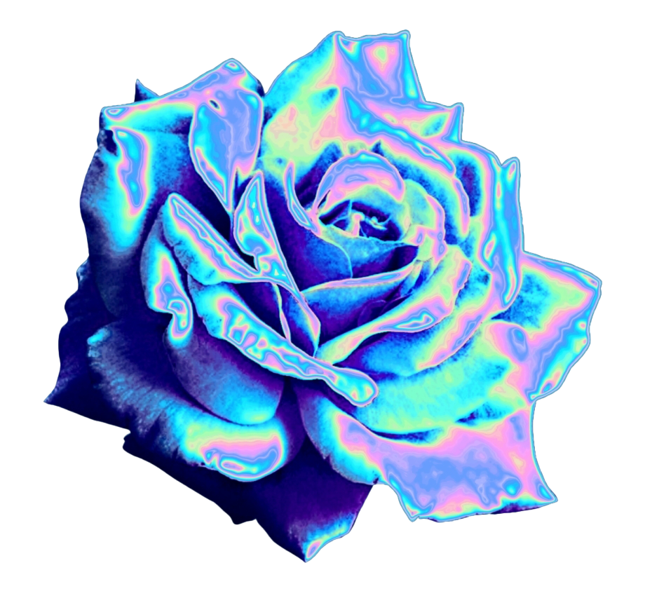 Aesthetic Flower PNG Free Image