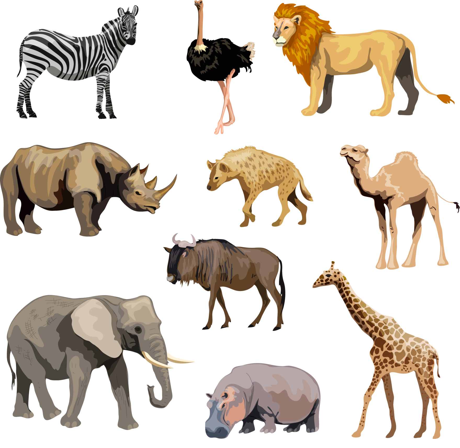 Africa PNG Clipart