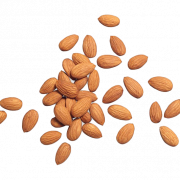 Almond Nuts PNG