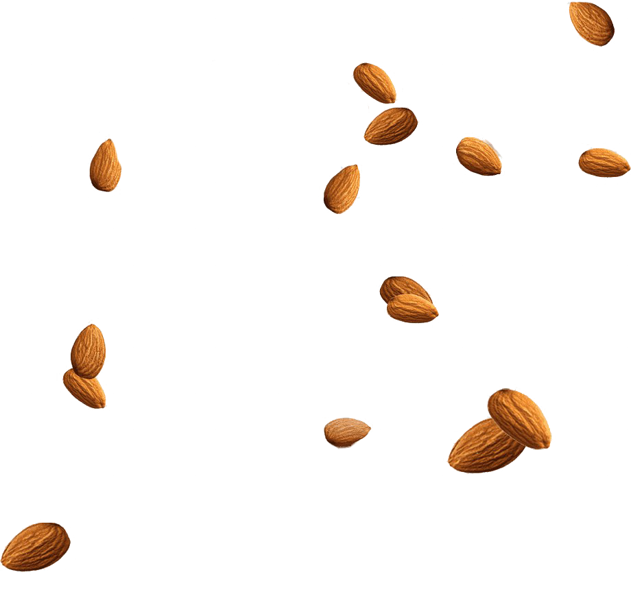 Almond Nuts PNG Clipart