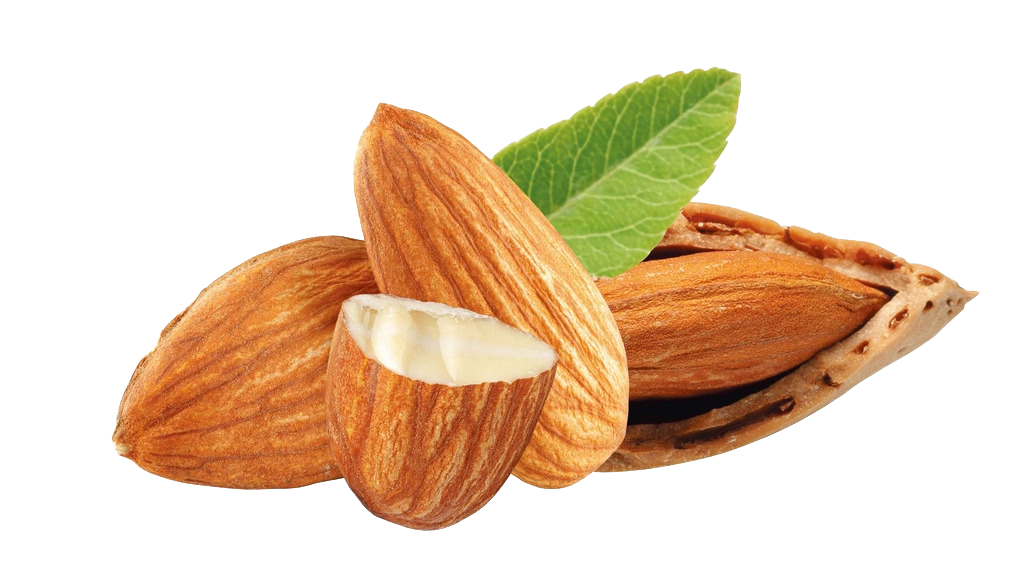 Almond Nuts Transparent