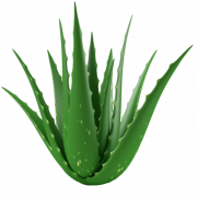 Aloe vera gel PNG Transparent HD Photo