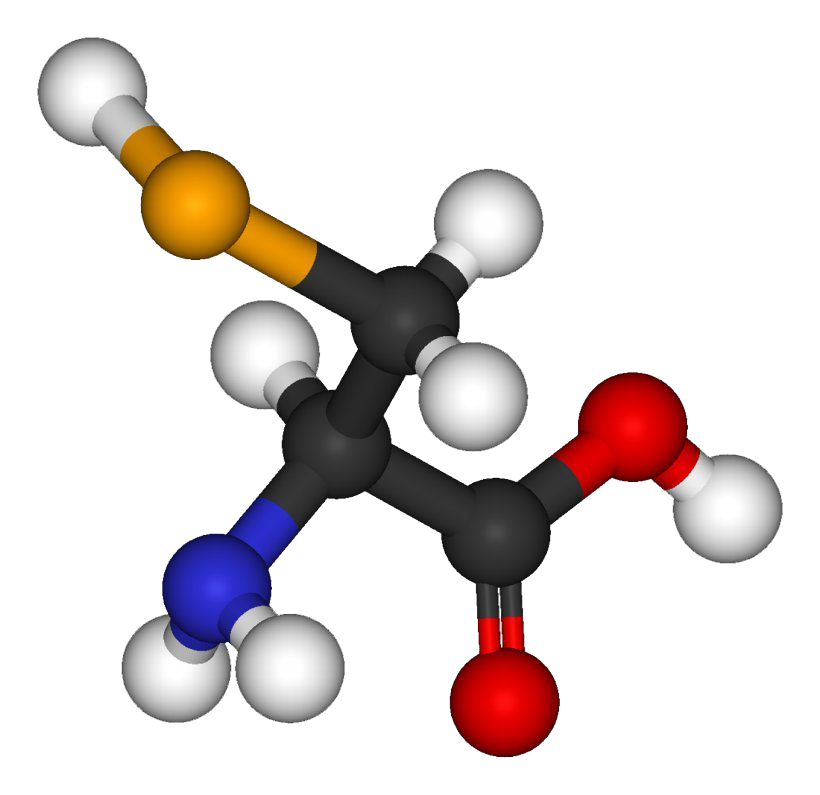 Amino Acid PNG File