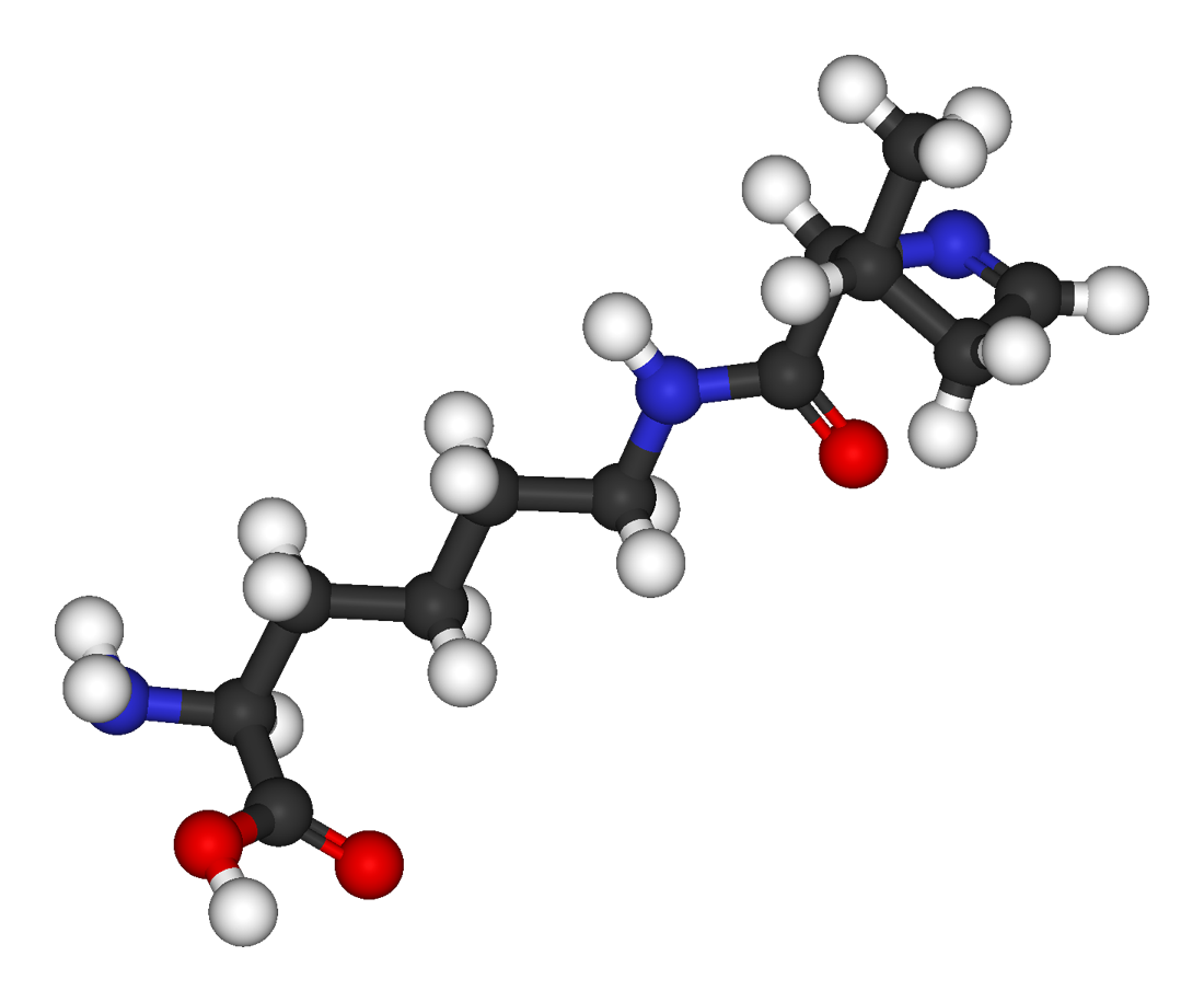 Imagem PNG de aminoácidos HD