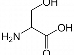 Struttura di aminoacidi PNG