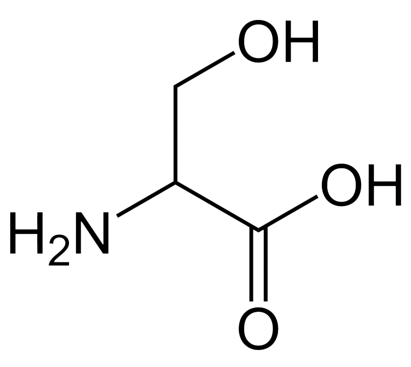 Structure dacides aminés PNG