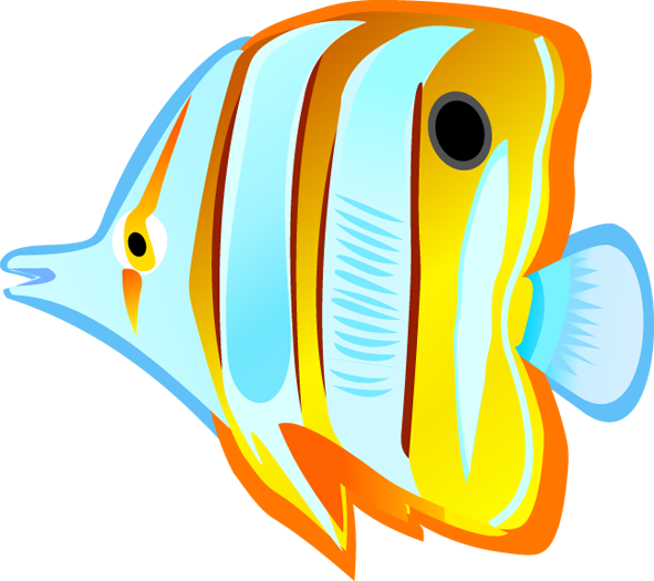 Aquarium Angelfish PNG Free Download