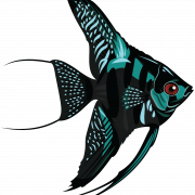 Aquarium Angelfish PNG Image