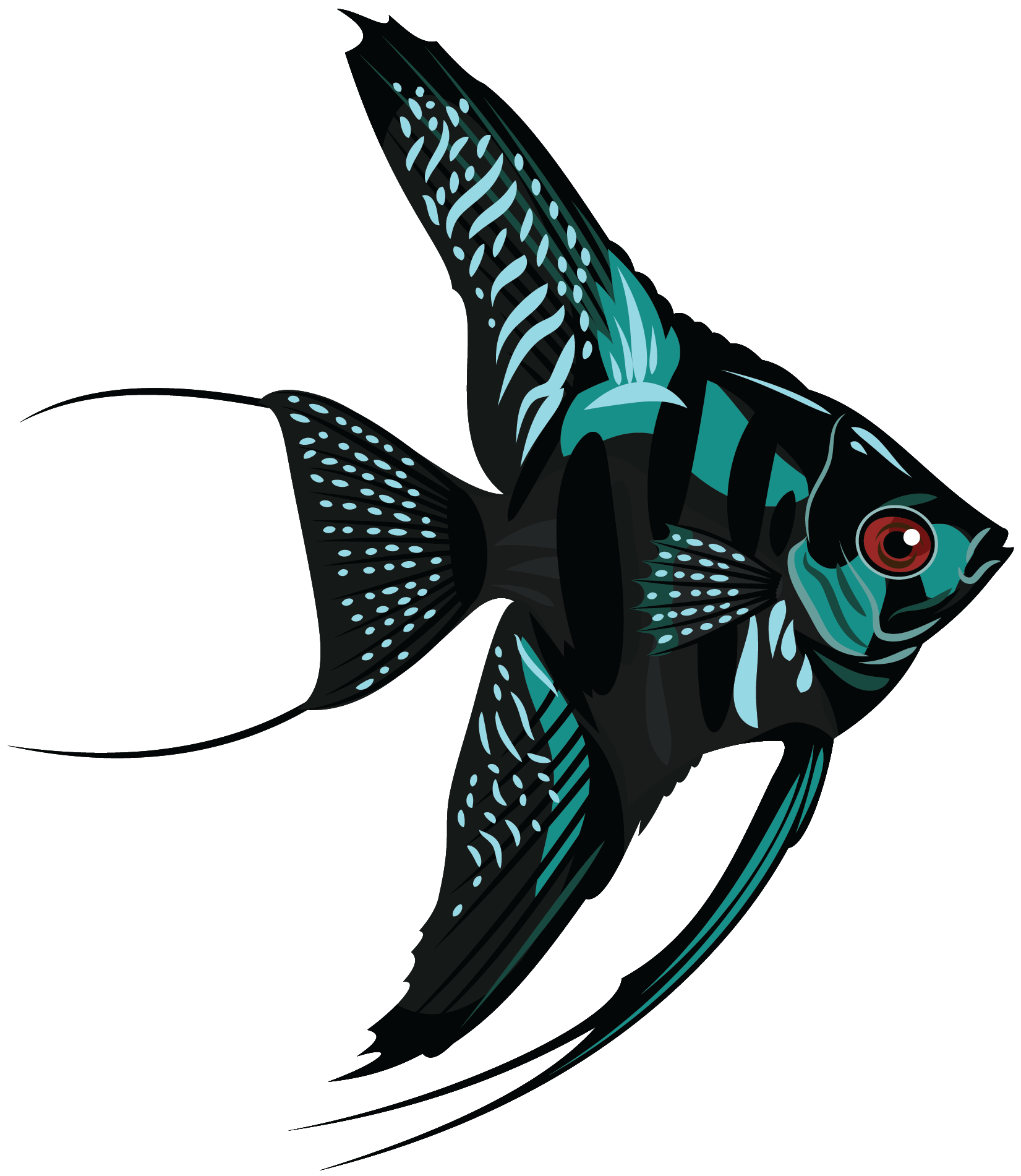 Aquarium Angelfish PNG Image