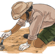 Archaeologist PNG Picture