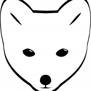 Clipart PNG da Fox Fox do Ártico