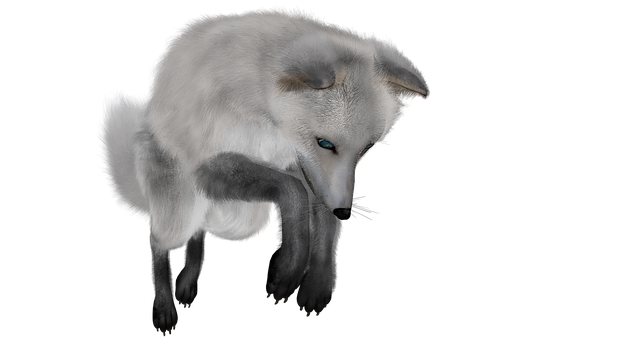 Arctic Fox PNG Download Image