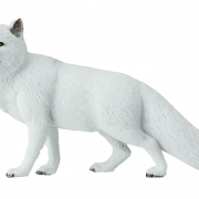 Arctic Fox PNG Picture