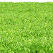 Tappetino a base di erba artificiale