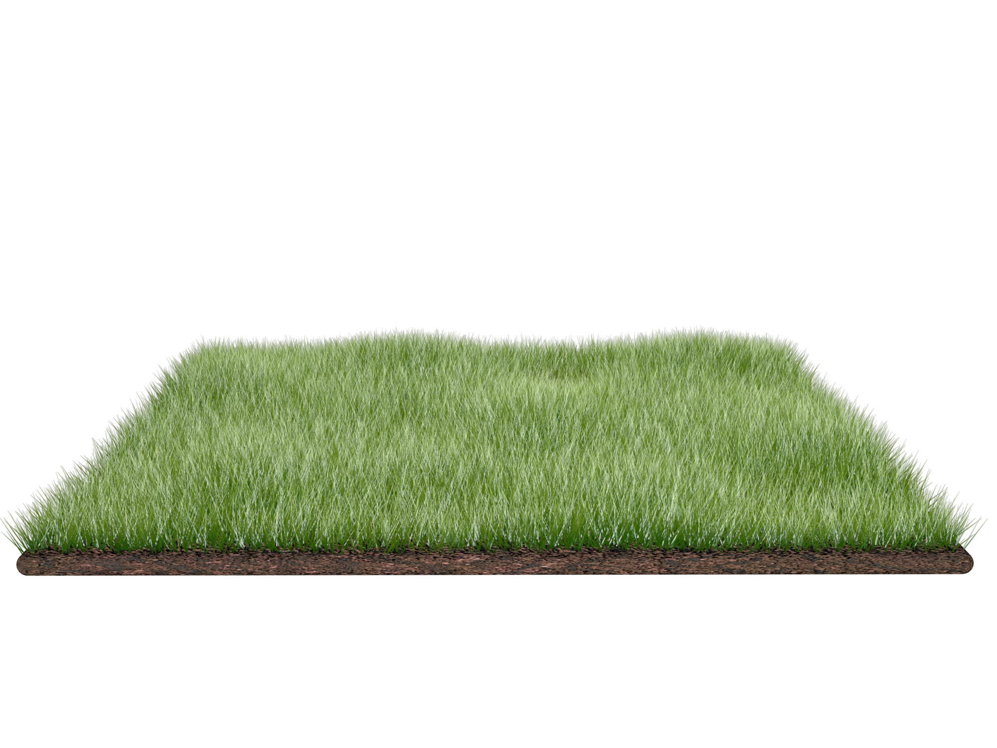 Artificial Grass Floor Mat PNG